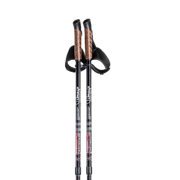 Kijki nordic walking Timago AQD-C004