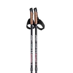 Kijki nordic walking Timago AQD-C004